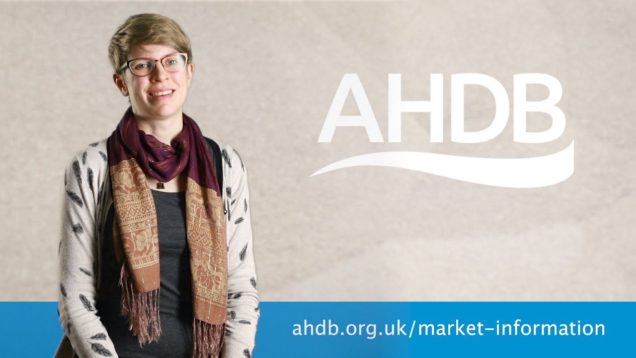 Dairy Market Update: GB milk production and herd latest