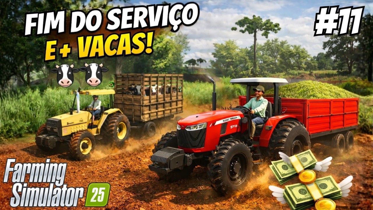 FINALIZEI A SILAGEM PRO VIZINHO E COMPREI MAIS VACAS PARA A FAZENDA CEDRO ALTO #11