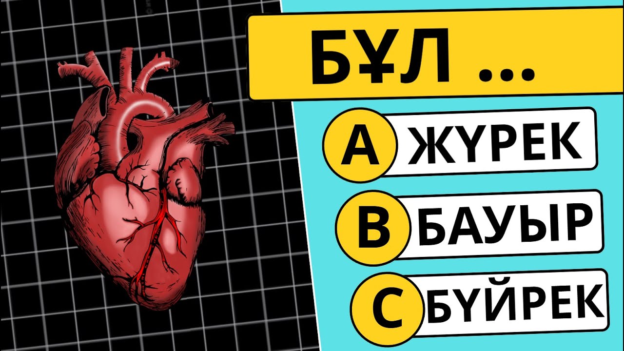 🧠 АДАМ ОРГАНИЗМІ ТУРАЛЫ ҚЫЗЫҚТЫ СҰРАҚТАР | БҰЛ НЕ? | БІЛІМ QUIZ 2025 ✅