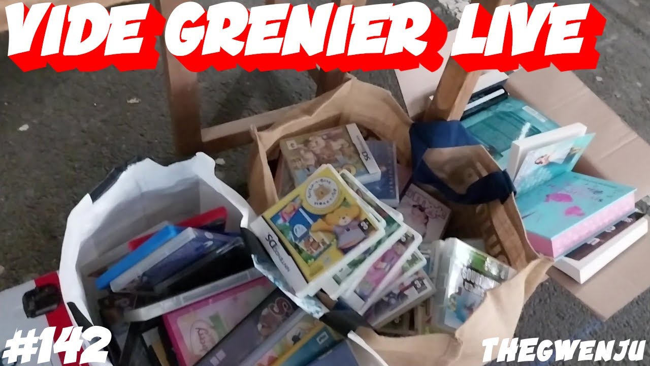 #142 Vide grenier live : Nintendo et un intrus