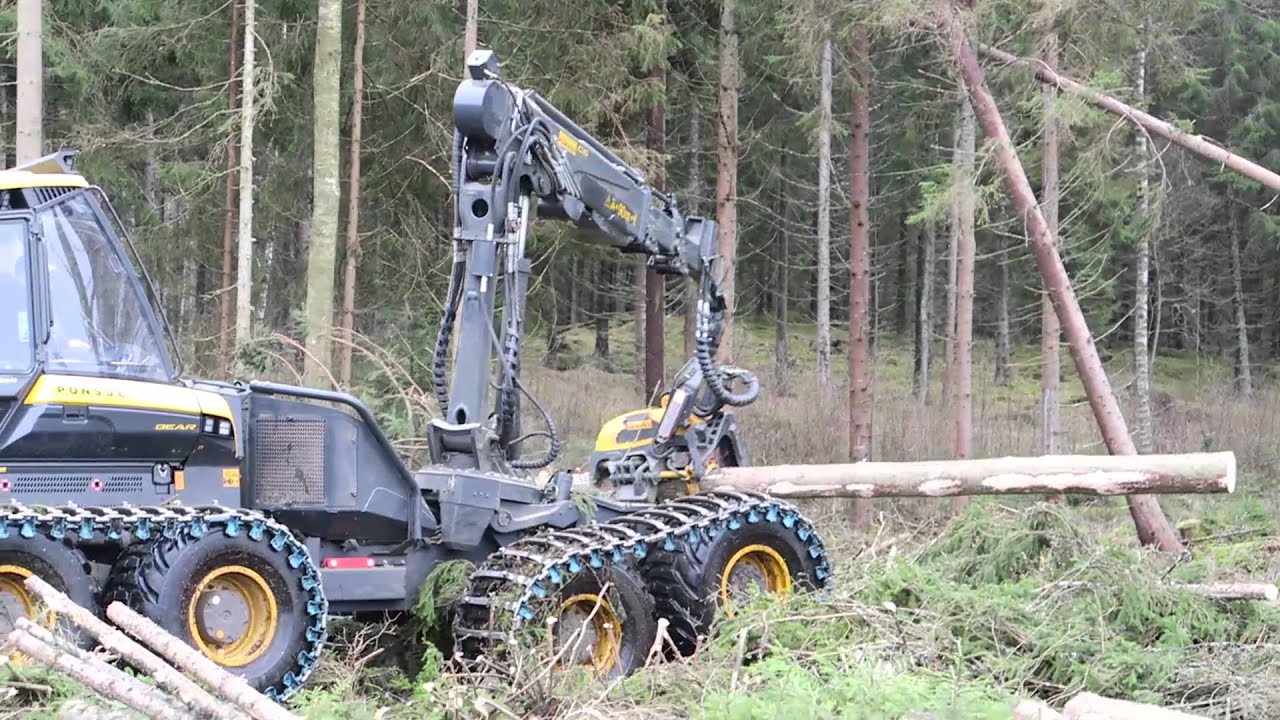 Ponsse Bear 8w Savilahti Skog
