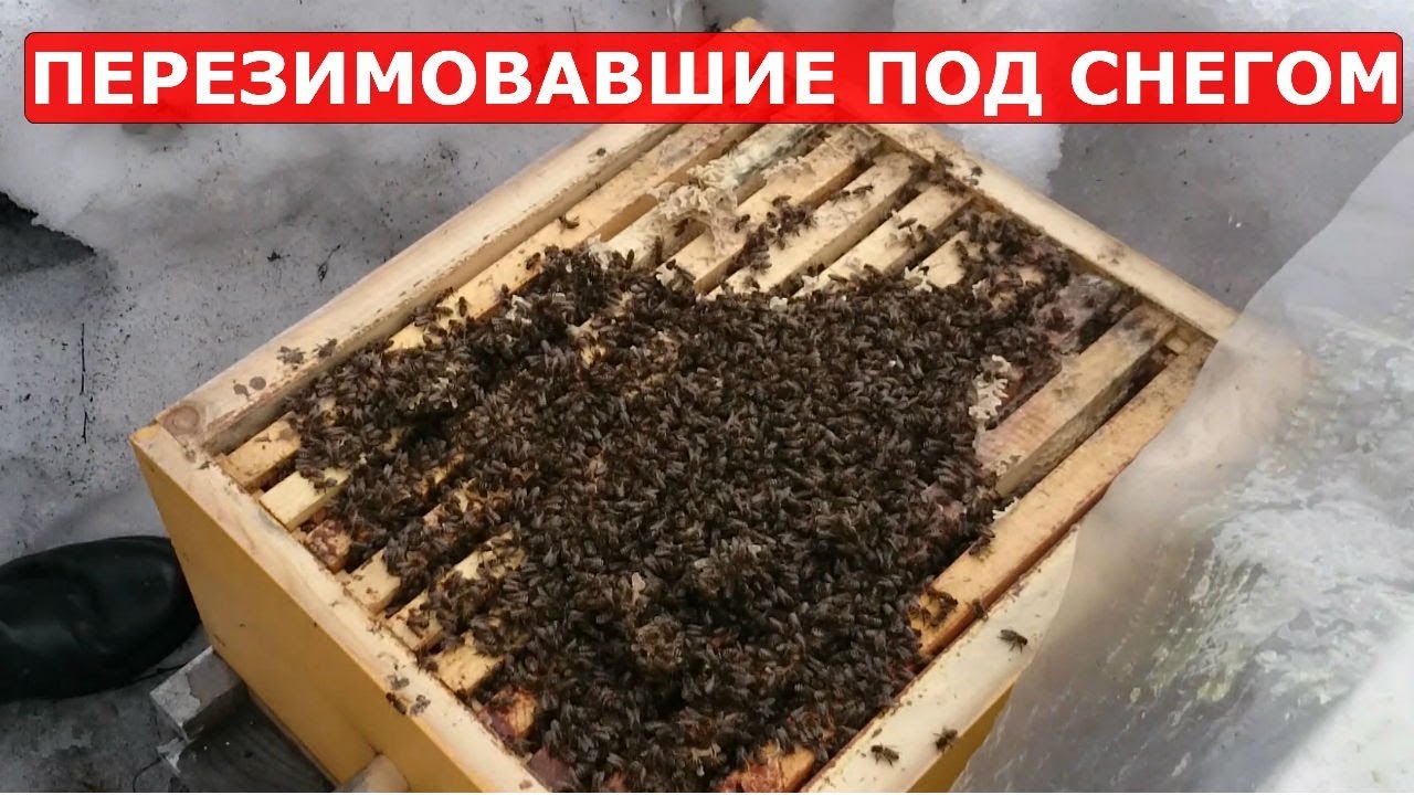 5 МЕСЯЦЕВ ПОД СНЕГОМ С НОВЫМ СПОСОБОМ УТЕПЛЕНИЯ-ВЕНТИЛЯЦИИ