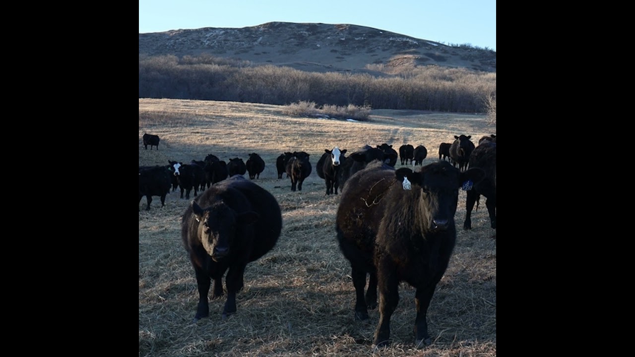 Finding a long term farm aid fix after huge agricultural losses