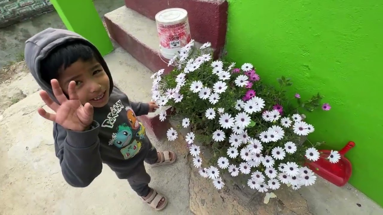 आज किया गांव भ्रमण, कहीं हुआ है बच्चा, कहीं हो रही है शादी की तैयारी, कहीं बना है नया घर 😂🫶🏻🙏🧿😱