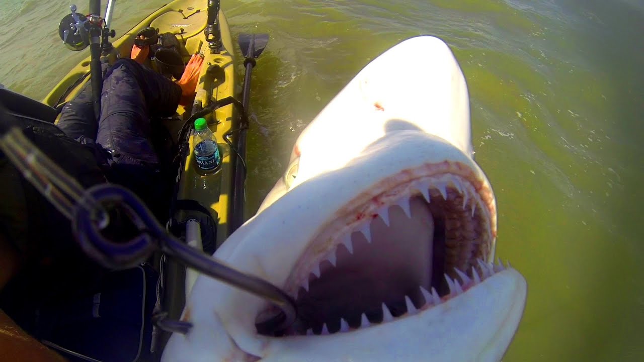 Kayak Fishing: Offshore Trip Gone Wrong - Part 3 | Field Trips with Robert Field