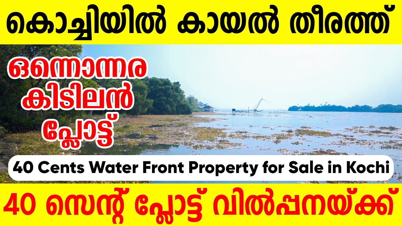 1190- കൊച്ചിയിൽ റിസോർട്ട് പണിയാൻ കായൽ ഫ്രണ്ടേജ് പ്ലോട്ട് വിൽപ്പനയ്ക്ക് | 40 cent water frontage plot