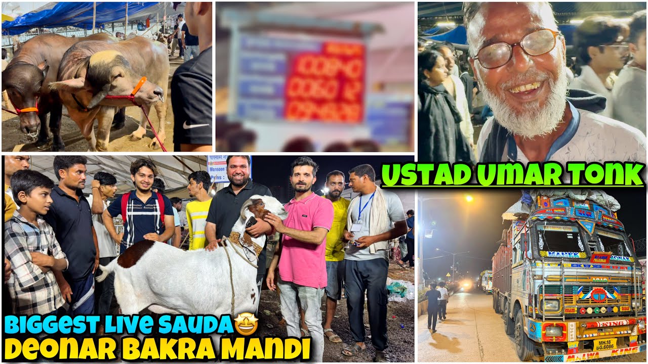 Deonar Bakra Mandi mai aaye USTAD UMAR TONK 🤩1 Lakh Bakre Crossed | 30th May Latest UPDATE