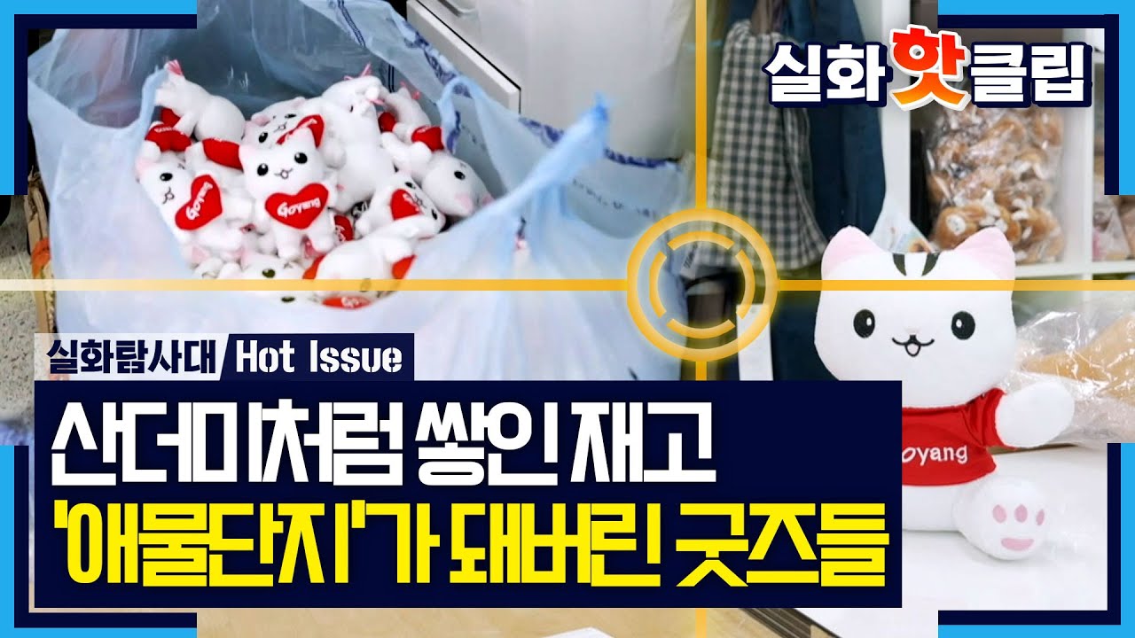 [실화탐사대] 산더미처럼 쌓인 '고양 고양이' 재고, '애물단지'가 되어버린 굿즈들, MBC 260129 방송
