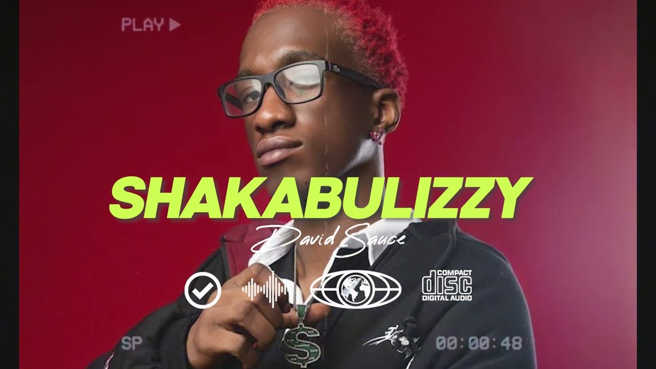 Mavo x Shallipopi x Zerry DL type beat- 