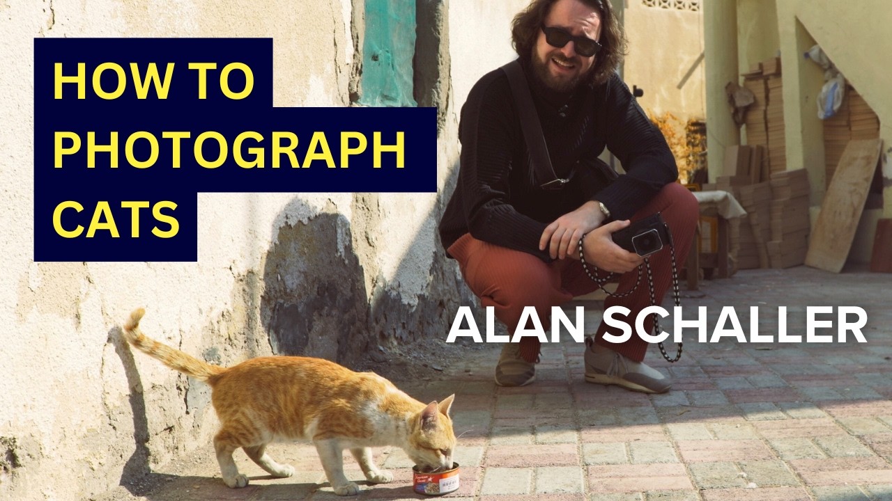 Street Photography With Cats - Alan Schaller in Oman
