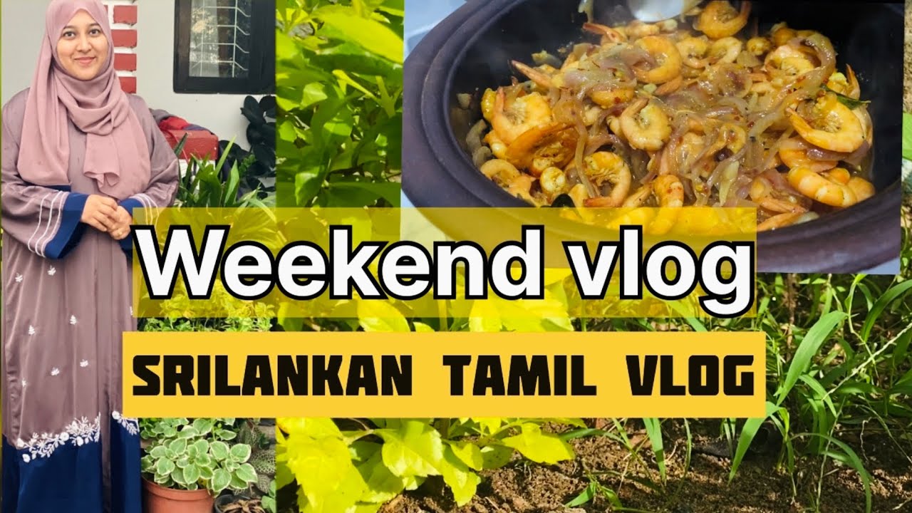 A busy weekend with my toddler / ramadan is coming soon / Srilankan tamil vlog /Naveena's tiny tips