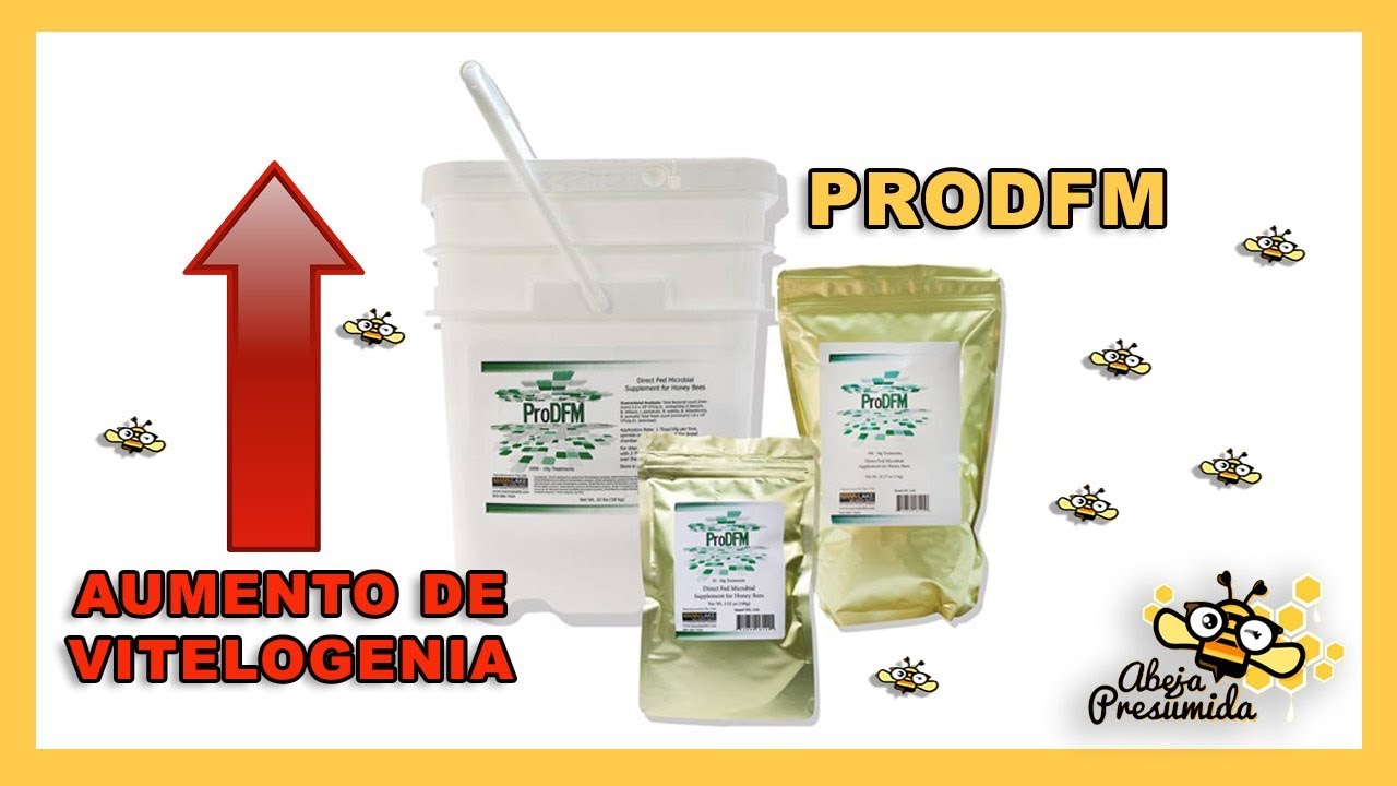 PRODFM 🐝🧡🎥 Aumentando la VITELOGENIA de las Abejas