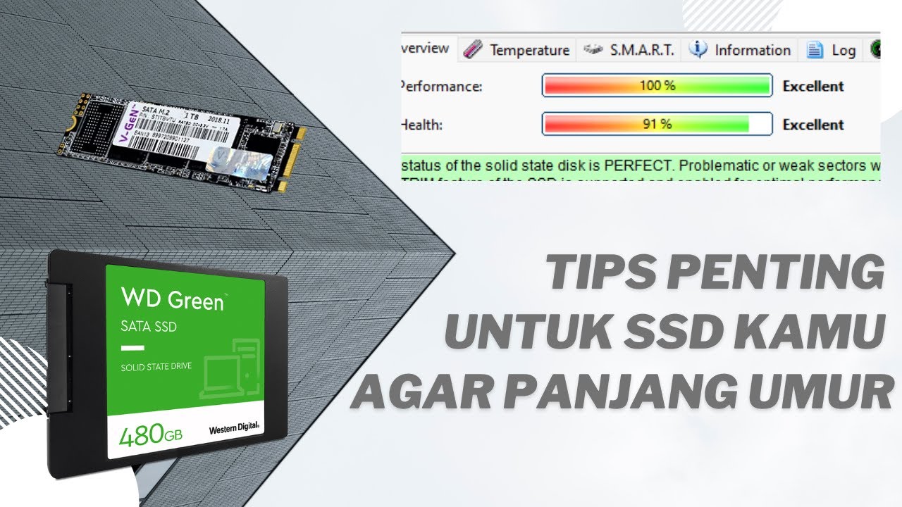 Tips Penting , SSD Panjang Umur