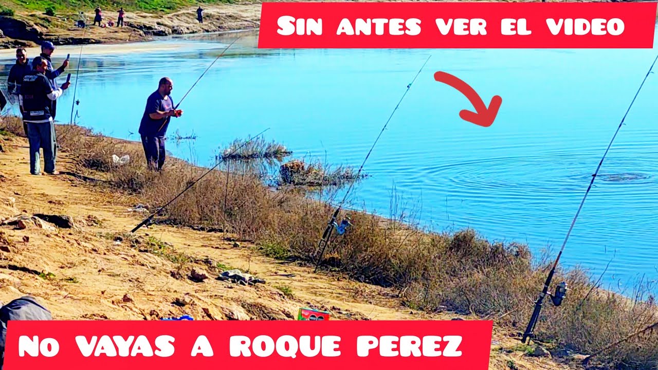 !! ROQUE PEREZ  !! Lugar de pesca gratis una LOCURA LOS pescados GIGANTES que salen acá no pagues !!