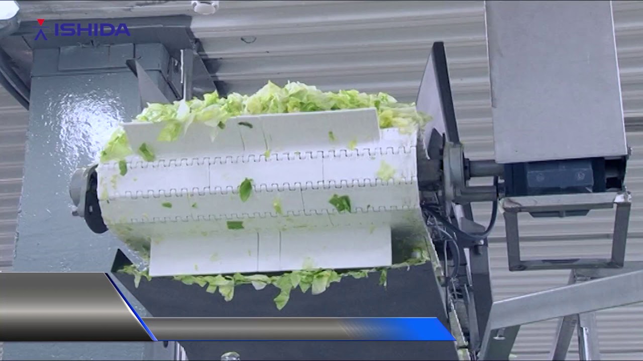 Ishida Multihead Weigher - Application:  Salad into bags