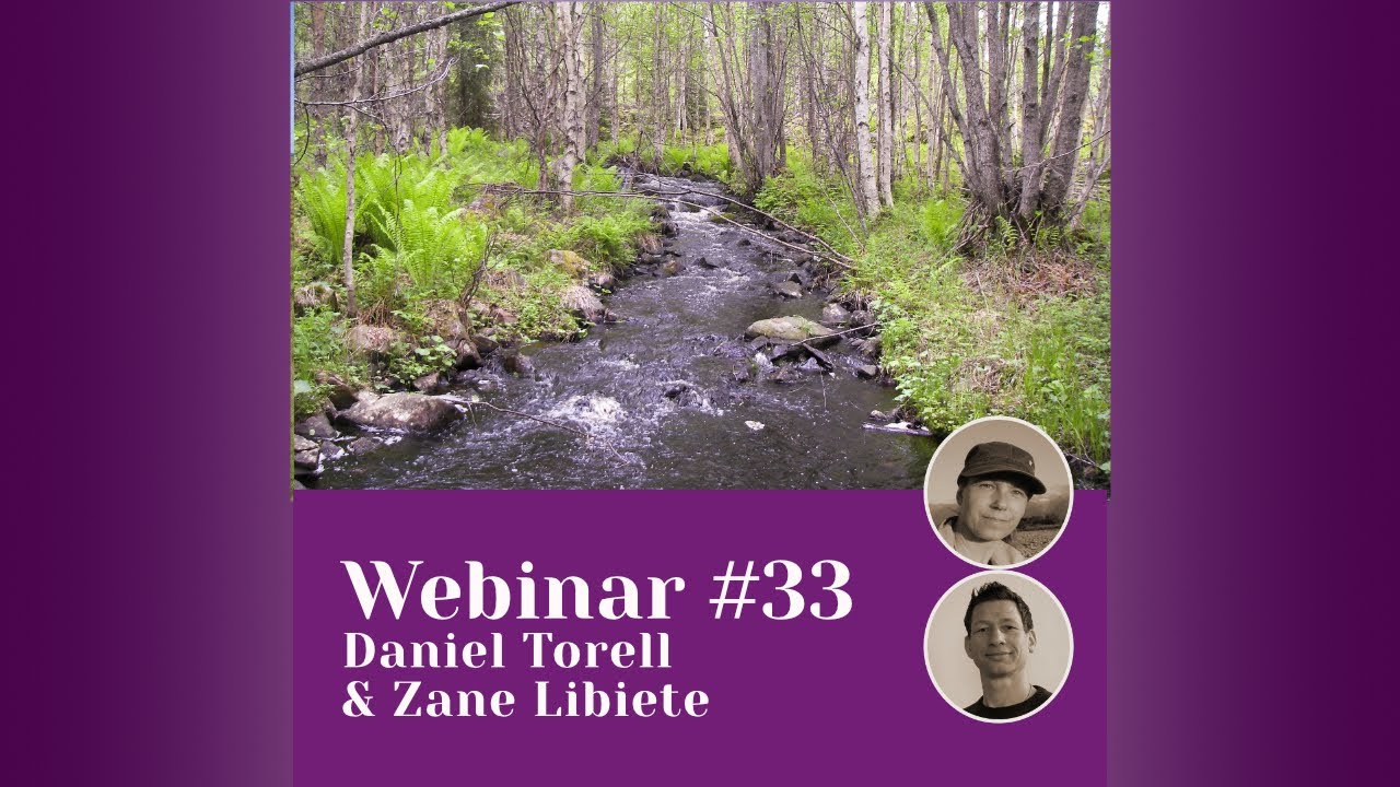 MERLIN webinar 33: Blue targeting - a forestry planning tool along small streams