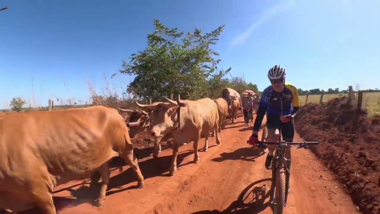 O som do carro de boi no pedal para Trindade!