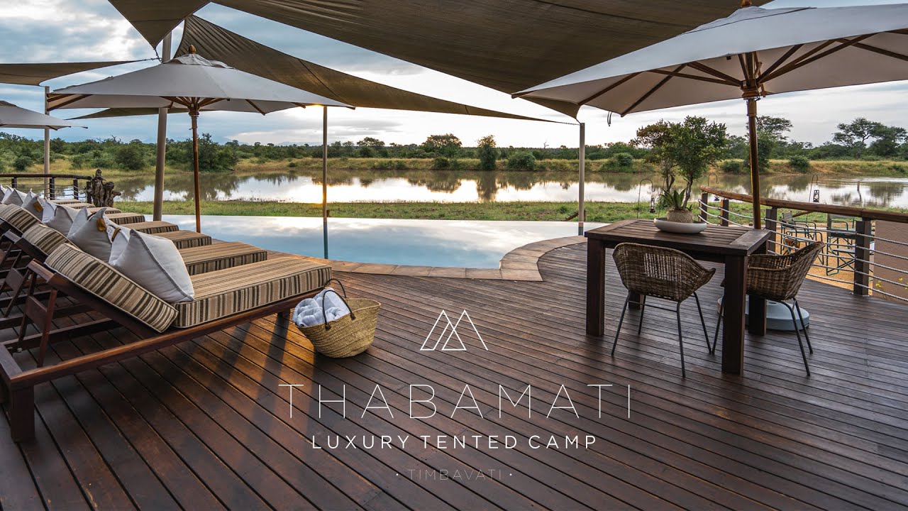 Thabamati Luxury Tented Camp | Timbavati | Marketing Video