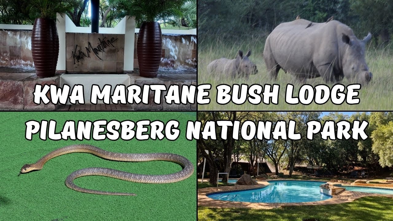 Kwa Maritane Bush Lodge, Южная Африка