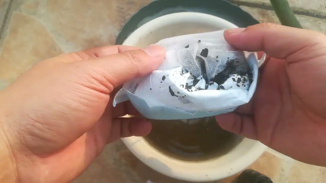 不花钱，一招教你自制“纯钾肥”，比磷酸二氢钾好