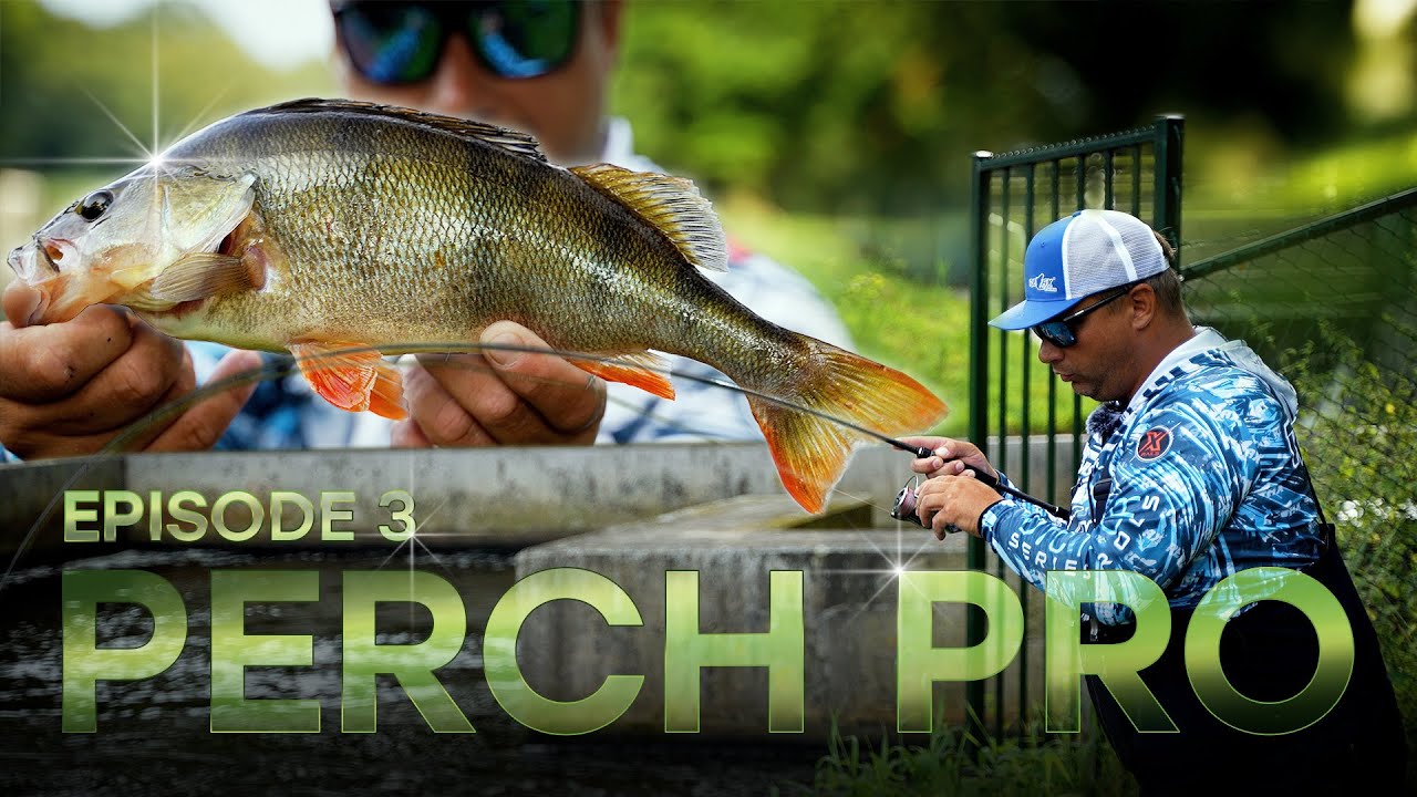 PERCH PRO 11 - Эпизод 3 (русские субтитры)