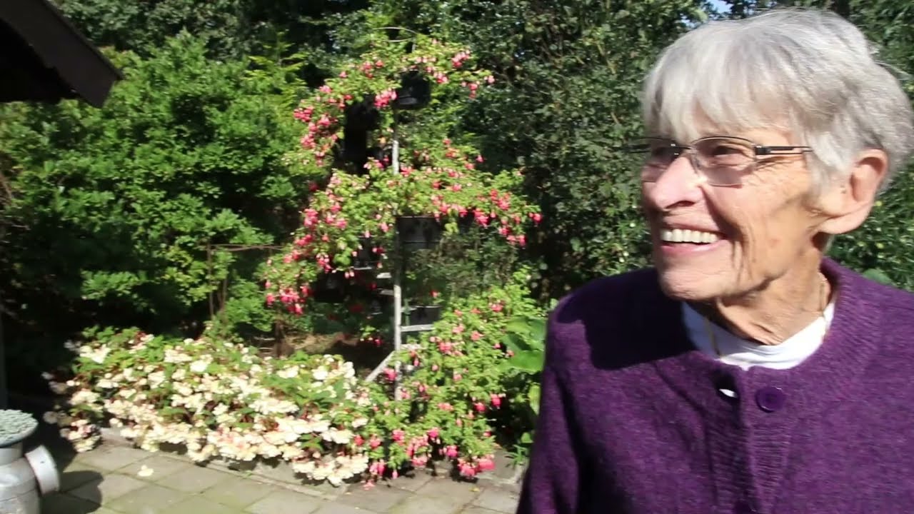Elk verhaal telt mee - op naar een dementievriendelijke samenleving