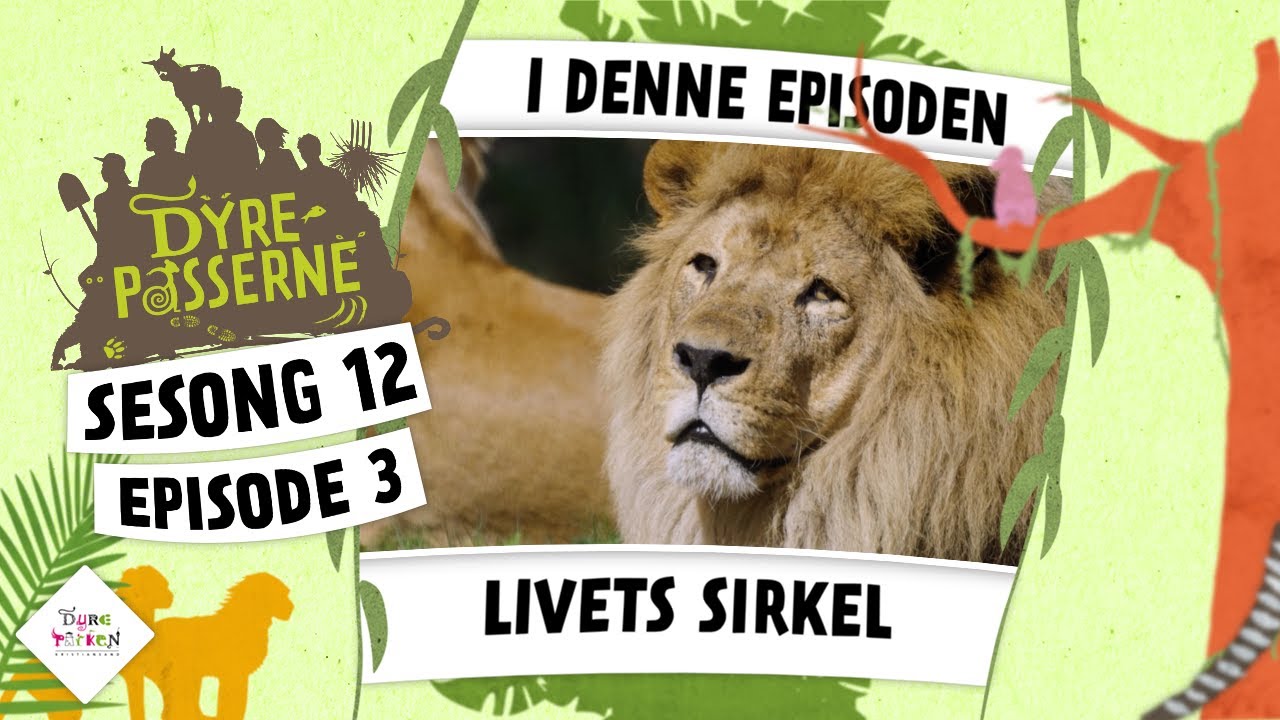 Livets sirkel | Dyrepasserne S12 episode 03