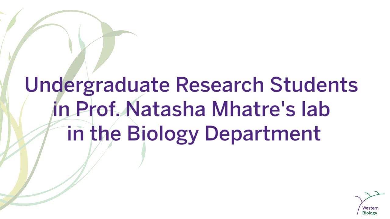 Undergraduate Research Students in Prof. Natasha Mhatre's lab in Western Biology
