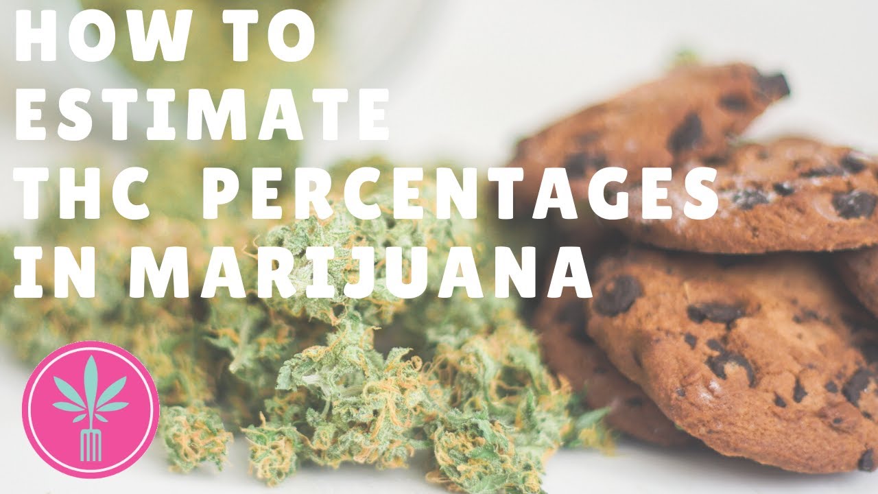 How To Estimate Percentage of THC in Weed | Realistic Estimates