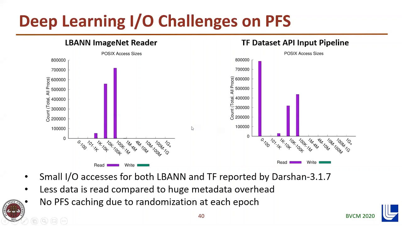 IO Characterization & Performance Evaluation of BeeGFS for Deep Learning