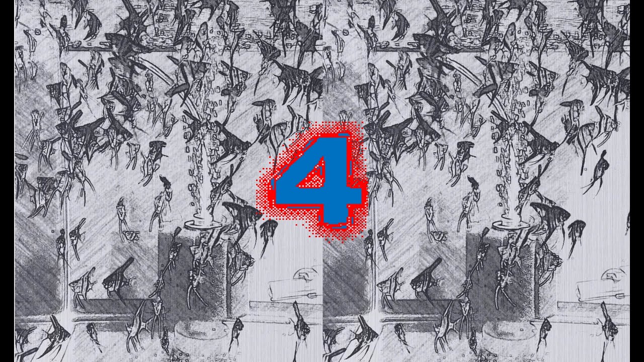 Hatching Angelfish Eggs Part 4