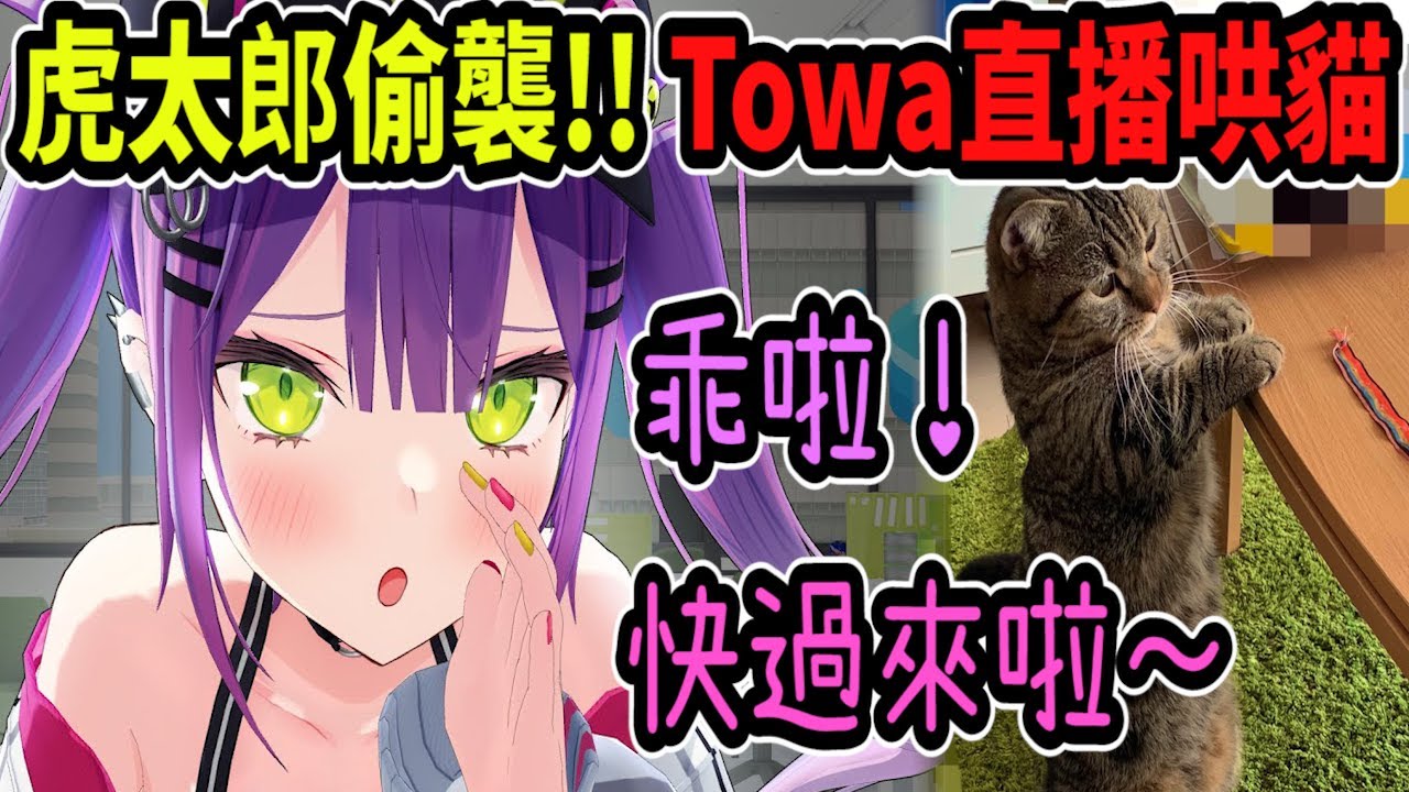 Towa的貓跑到奇怪的地方! 害她直播哄貓..軟軟的聲音超可愛~【hololive中文】 【Vtuber精華】【常闇トワ】【常闇永遠】【Towa】
