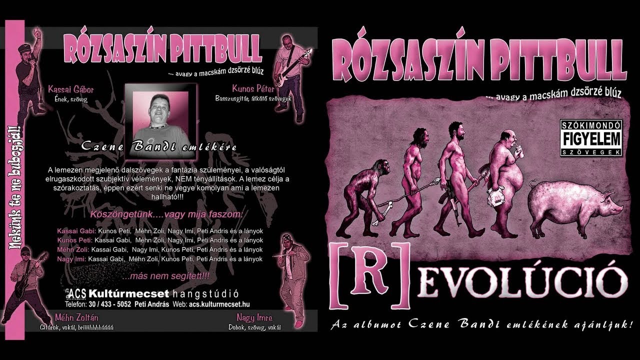 R&oacute;zsasz&iacute;n Pittbull - F&ouml;l drogos t&aacute;bor - Revol&uacute;ci&oacute; 2009