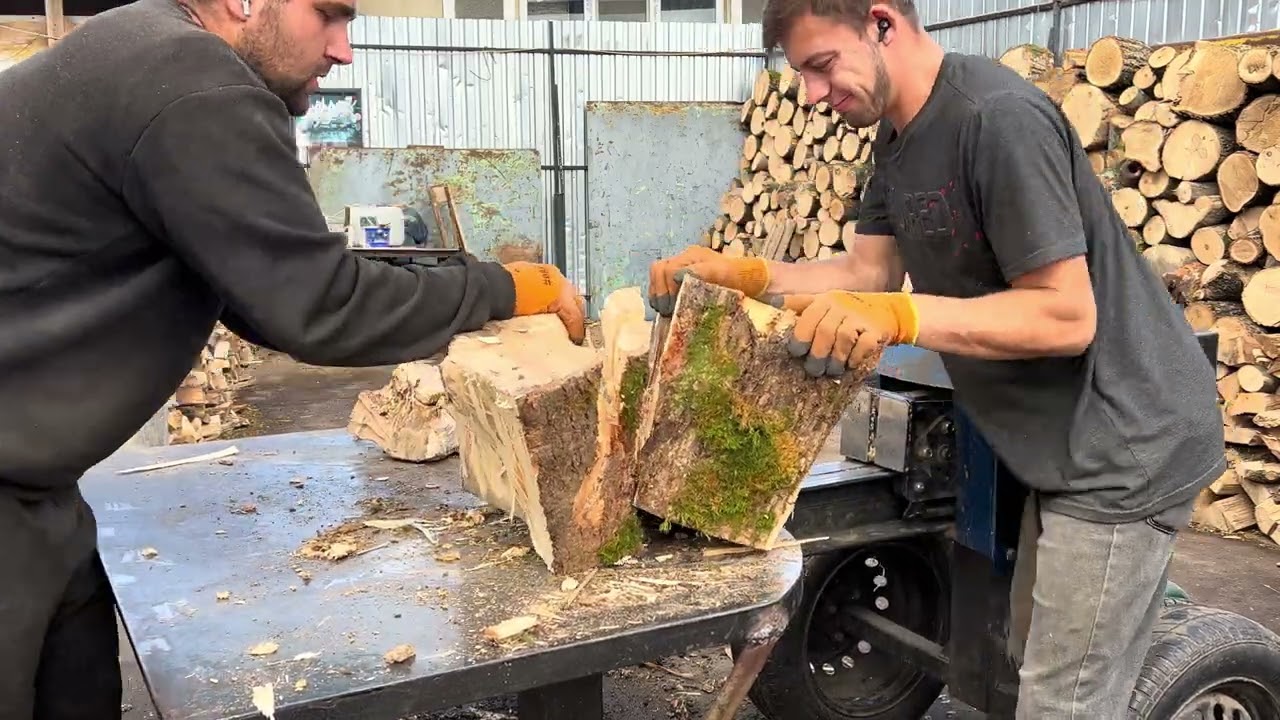 Massive Oak vs Crushing Steel Power