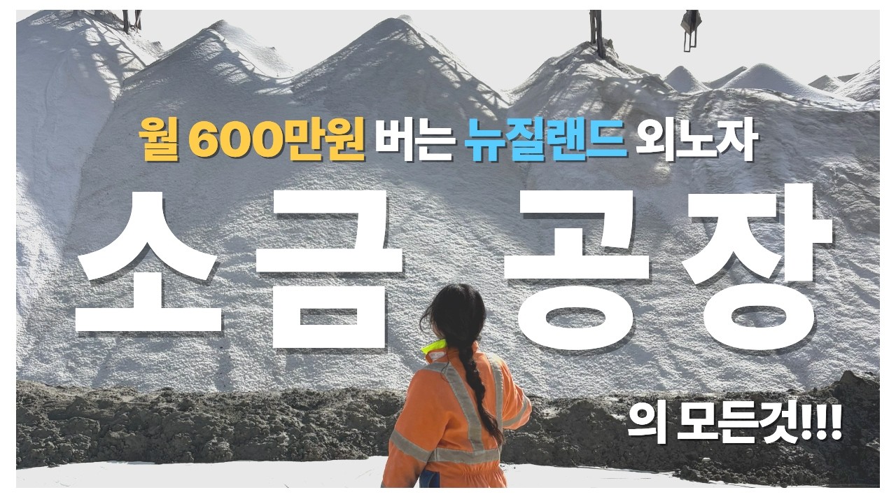 영어 못하는데 워홀가도 될까요? ㅠㅠ 월 600만원 뉴질랜드 소금공장의 모든 것