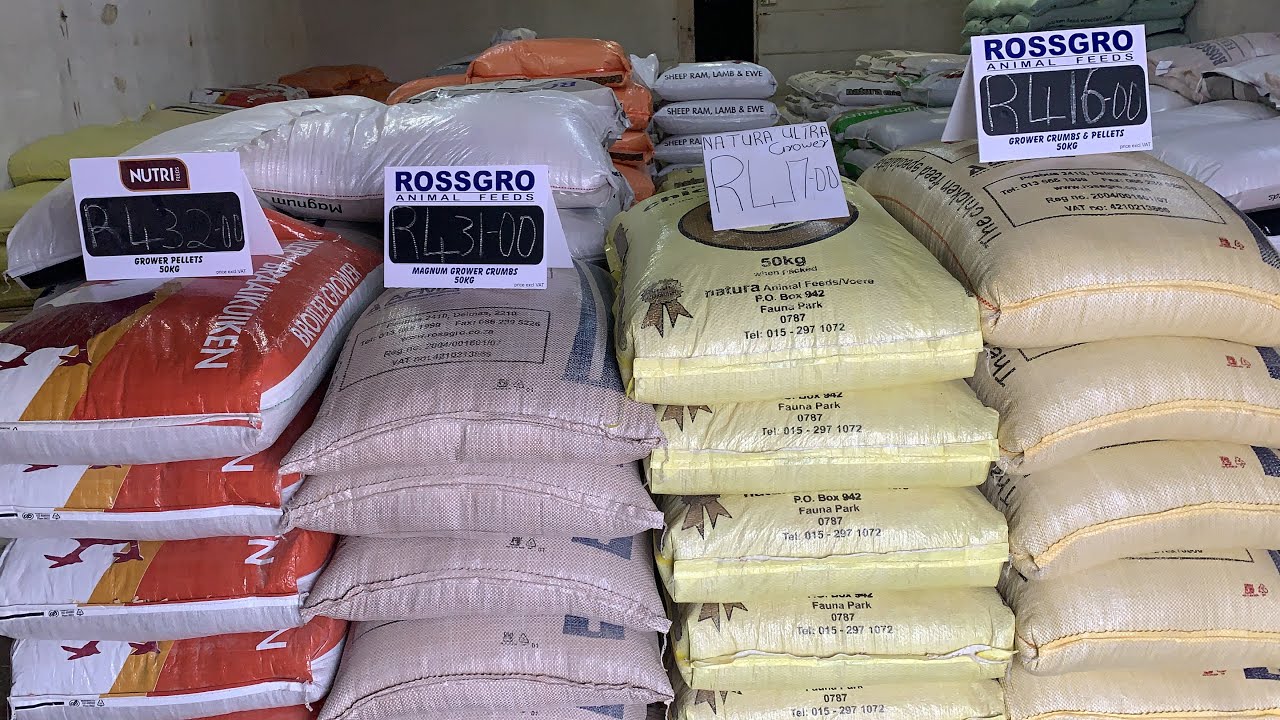 Cracking the Cost of Chicken Feeds: 2022 Price Update & Unveiling the Surging Feed Price Hikes!