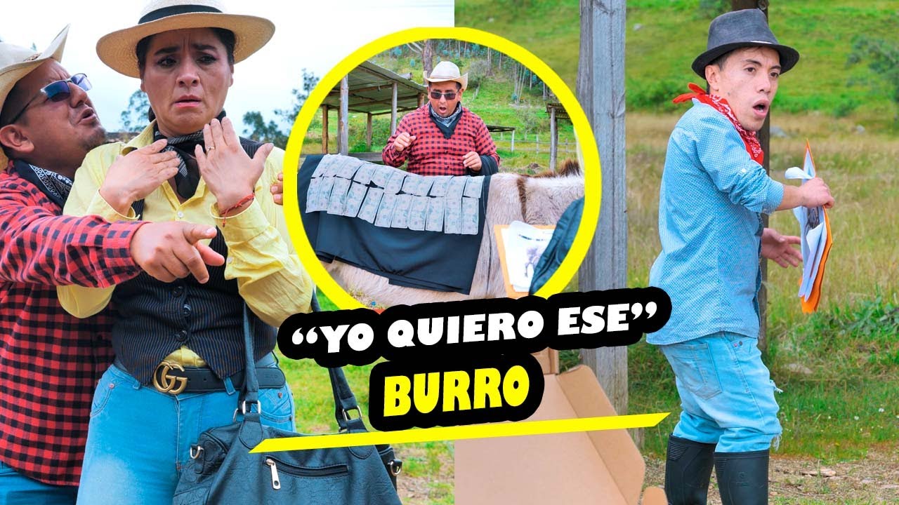 Millonaria compro este burrito lleno de dinero sin imaginar que pasaría esto