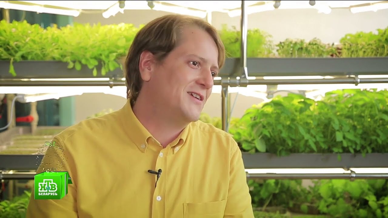 Микрозелень ферма GreenBro. Репортаж НТВ-Беларусь