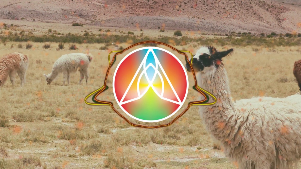 AronChupa, Little Sis Nora - Llama In My Living Room(BLADE DJ REMIX)