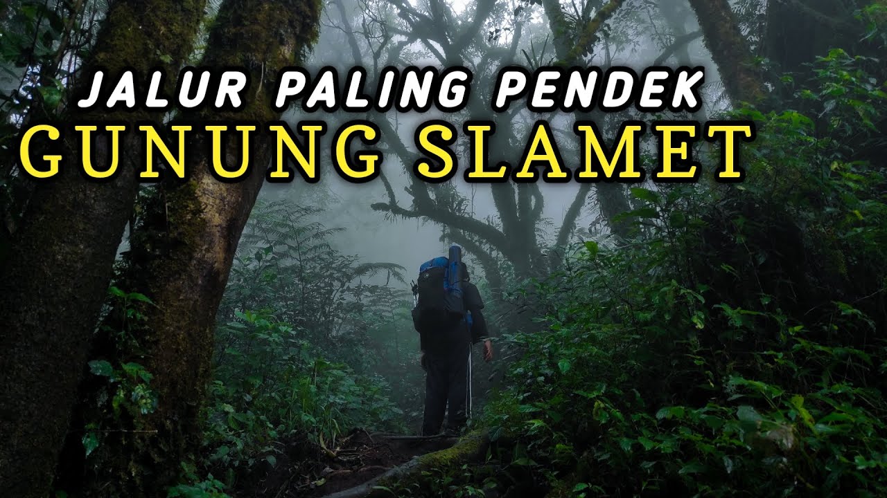 PENDAKIAN GUNUNG SLAMET VIA DIPAJAYA PEMALANG | JALUR PALING PENDEK? | #1