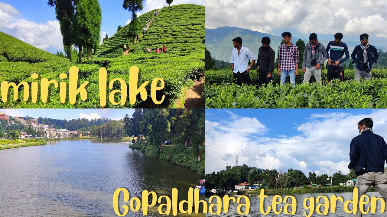 Mirik Lake and Gopaldhara Tea Garden | Darjeeling Series | Ep-8 | HARSH VLOGS