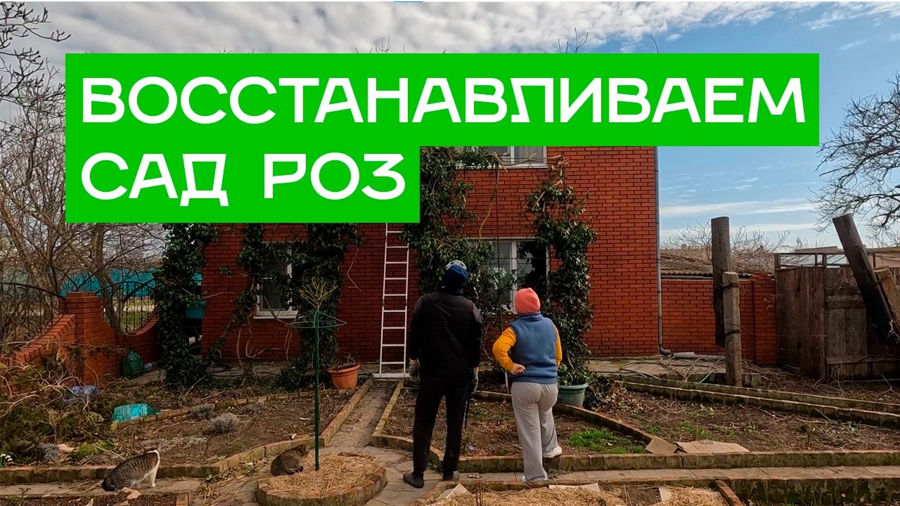 Восстанавливаем сад роз