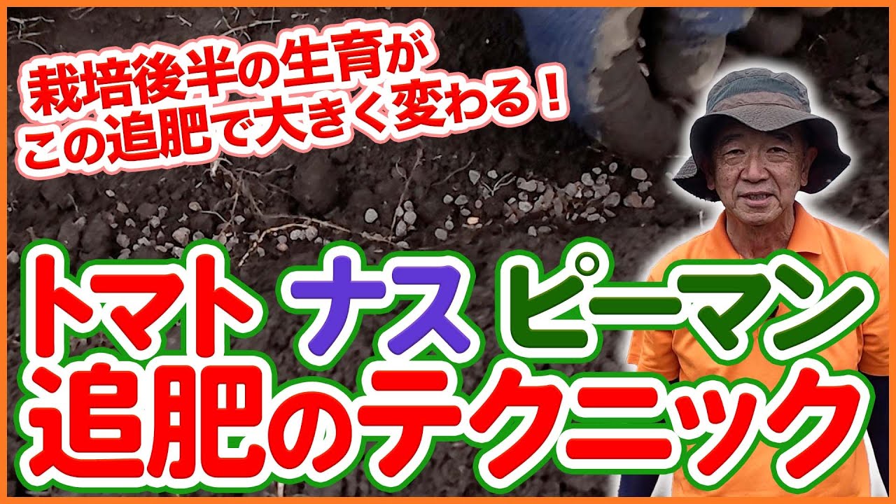 トマト・ナス・ピーマン栽培の後半戦！生育が変わる追肥と終盤の管理を徹底解説！【農園ライフ】