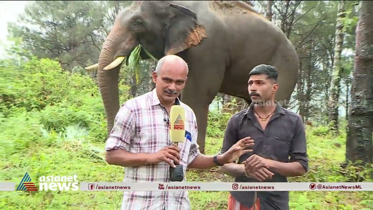 വട്ടംചുറ്റിച്ച അരിക്കൊമ്പൻ; അനുഭവം പങ്കുവെച്ച് കോന്നി സുരേന്ദ്രന്റെ പാപ്പാൻ | Mission Arikomban