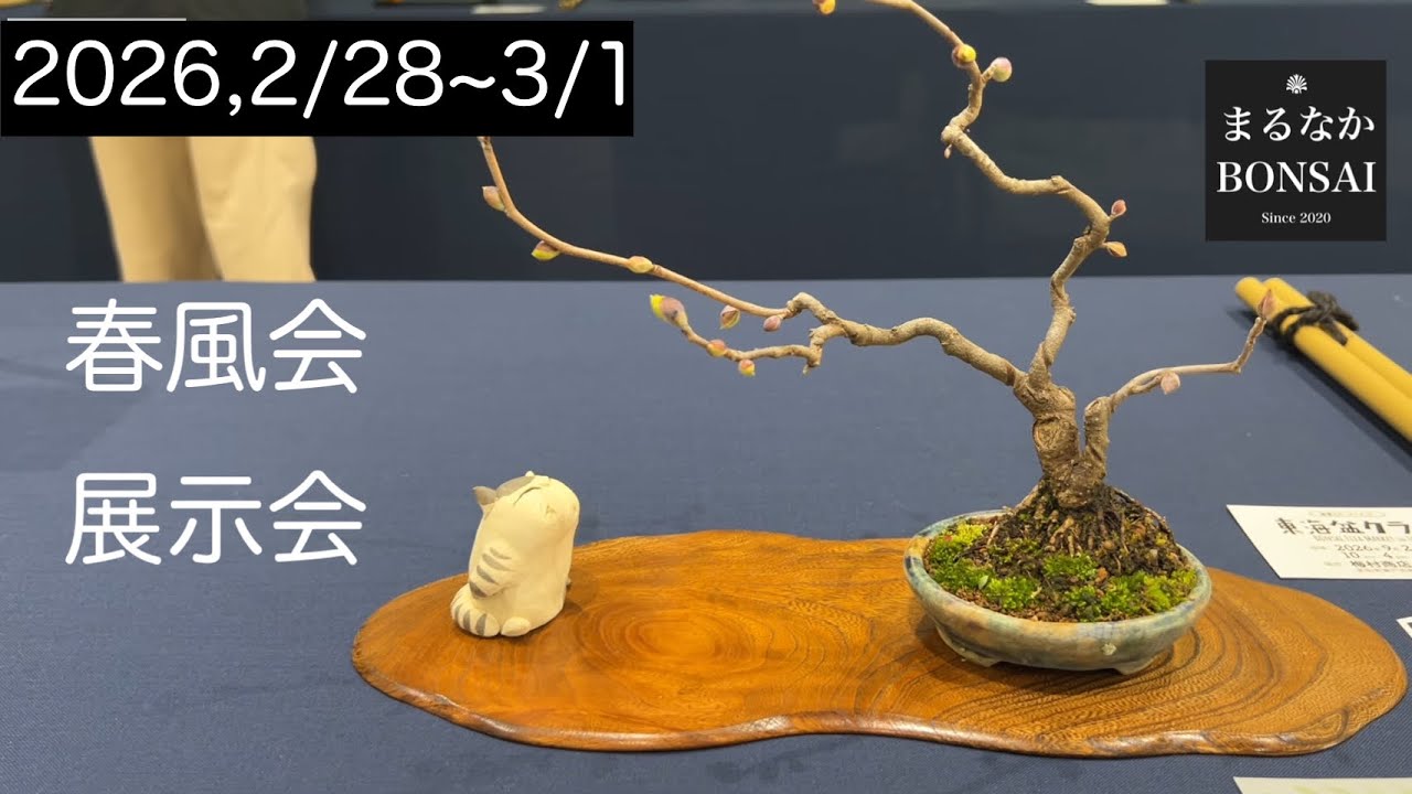 春風会　展示会　2/28-3/1