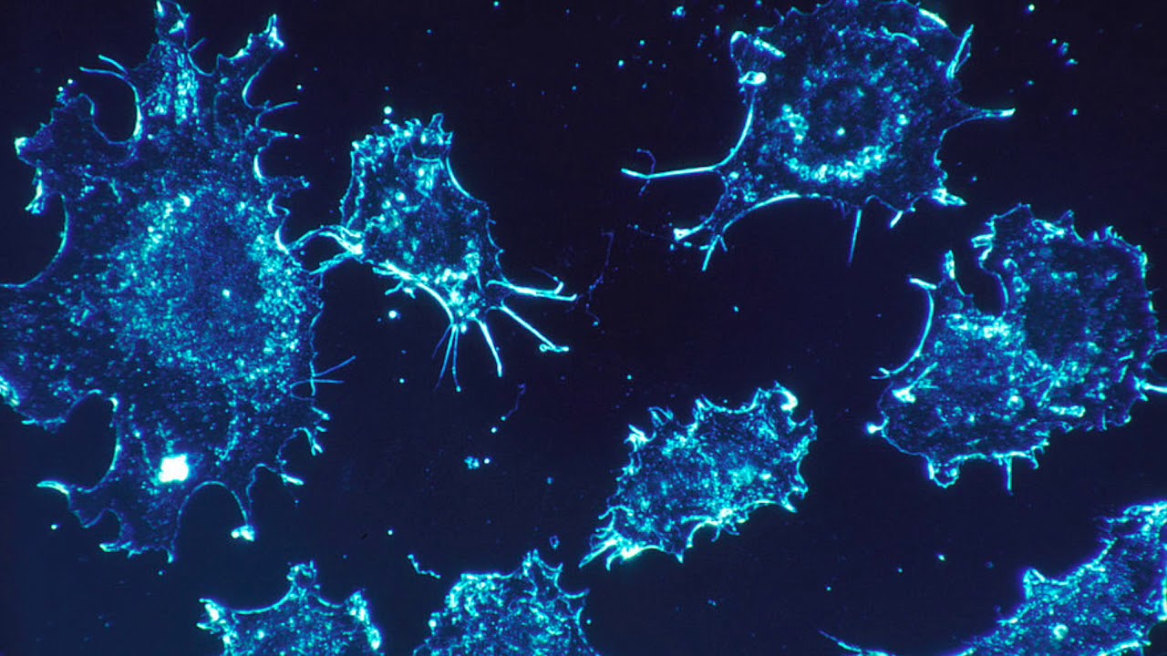 Cell Press Reviews:  Cancer Therapeutics