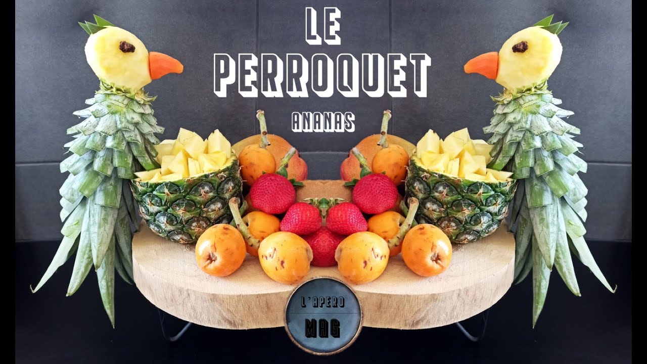 Perroquet Ananas DIY