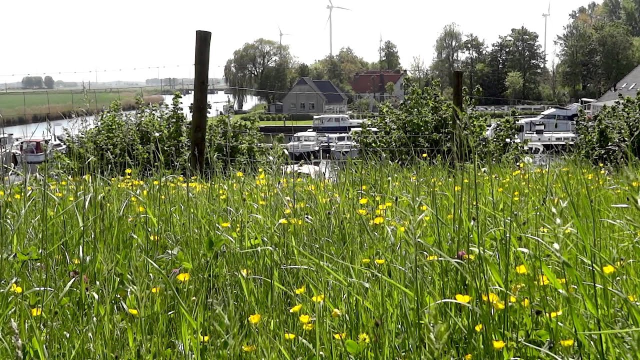 Varen in Brabant/Halderberge