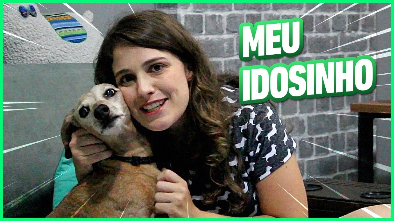 Como cuidar de cachorro idoso?