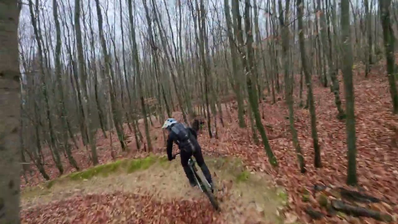 DJI Neo 2 real forest trail ride - on Amflow PL